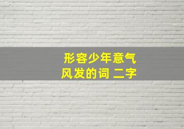 形容少年意气风发的词 二字